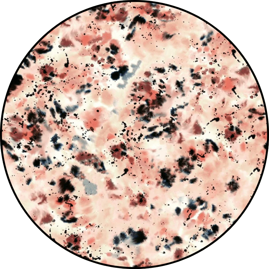 Mosaic Jogger Set - Image 4